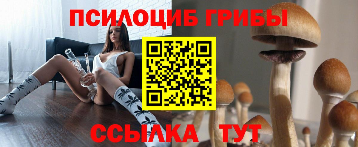 Тула  Галлюциногенные грибы Cubensis  Вход с VPN 
